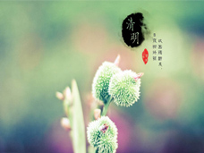 清明時節(jié)雨紛紛，路上行人欲斷魂