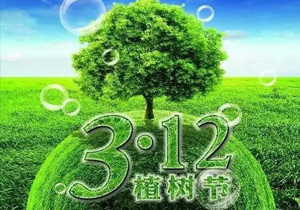 3月12日植樹節(jié),讓我們一起為未來“充植”
