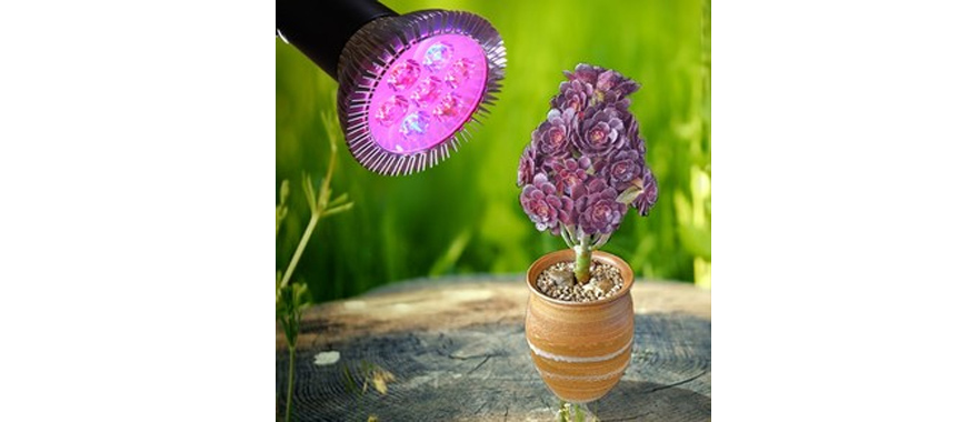 LED植物生長燈吸潮短路、起霉怎么辦？快用線路板電防膠.jpg