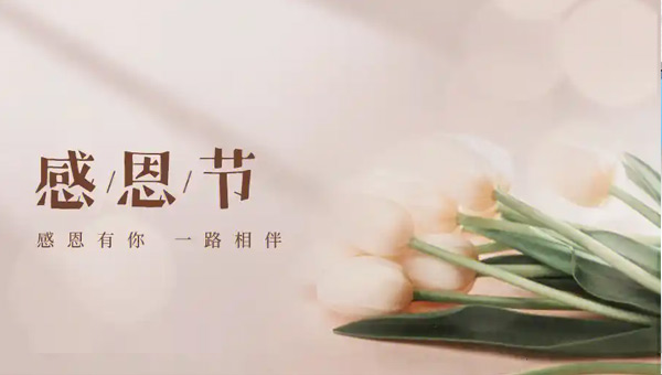 感恩同行，溫暖相伴：施奈仕人的感恩節(jié)記憶.jpg