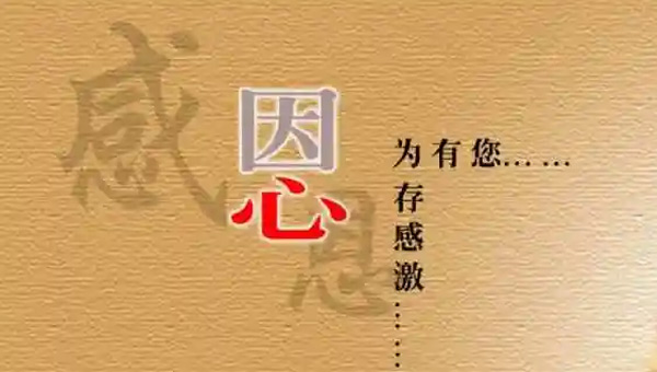 感恩的力量：施奈仕人的感恩節(jié)，銘記每一份支持與陪伴